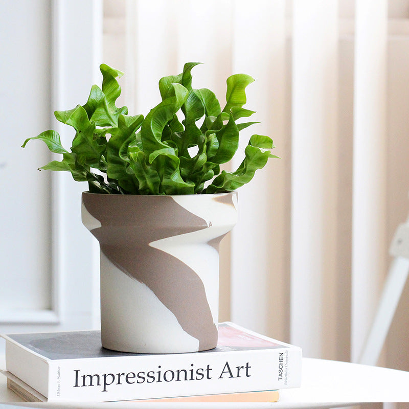 Creative Clashing Ceramic Succulent Fern Tuber Planters