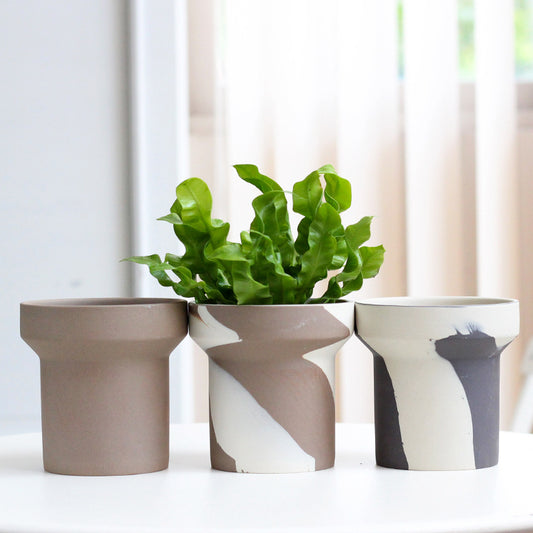 Creative Clashing Ceramic Succulent Fern Tuber Planters