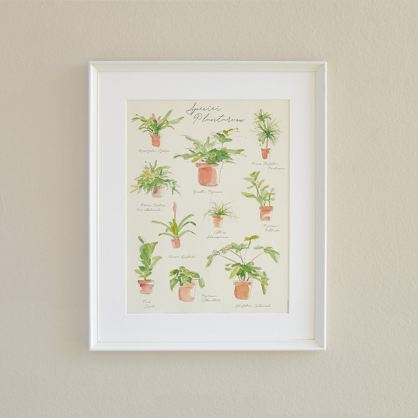 Plant Species Poster